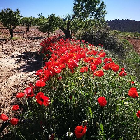 Cortijo Los Soledad El Sauco Exteriér fotografie