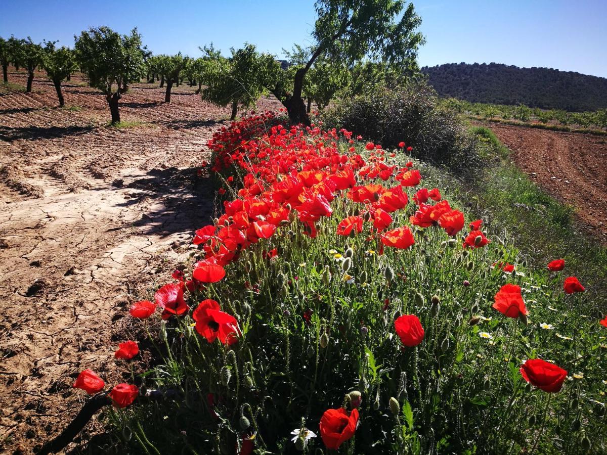 Cortijo Los Soledad El Sauco Exteriér fotografie