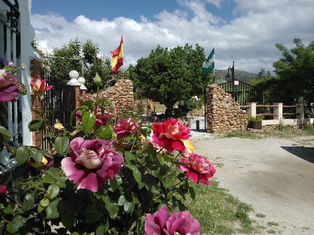 Cortijo Los Soledad El Sauco Exteriér fotografie