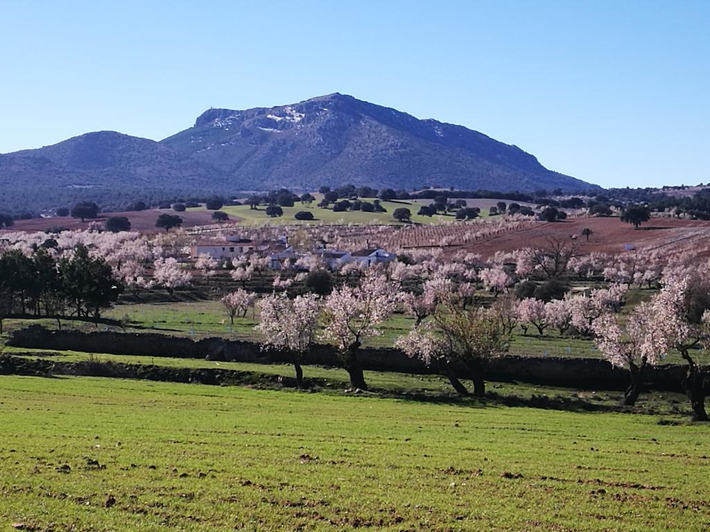 Cortijo Los Soledad El Sauco Exteriér fotografie