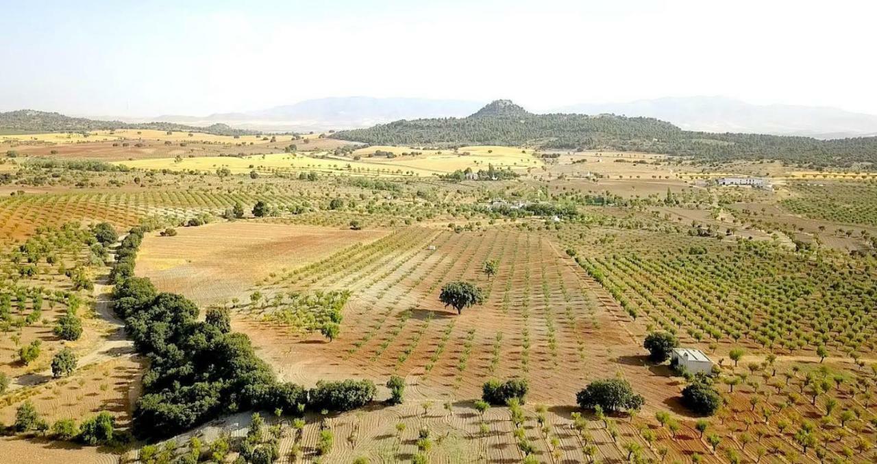 Cortijo Los Soledad El Sauco Exteriér fotografie